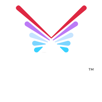 Wikize